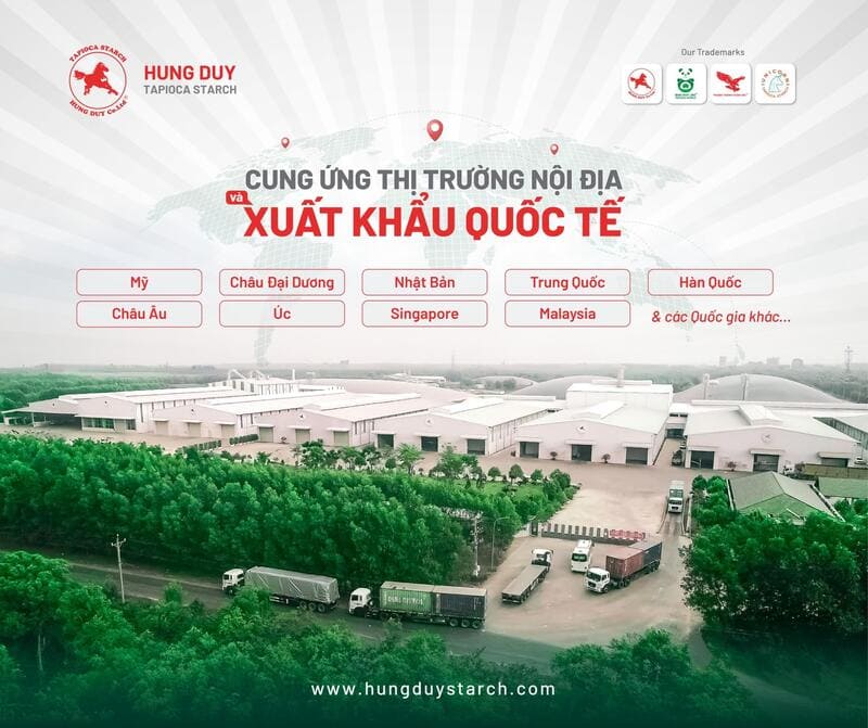 Nhà cung cấp tinh bột mì biến tính