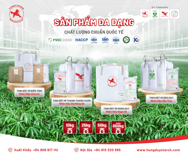 thị trường tinh bột sắn