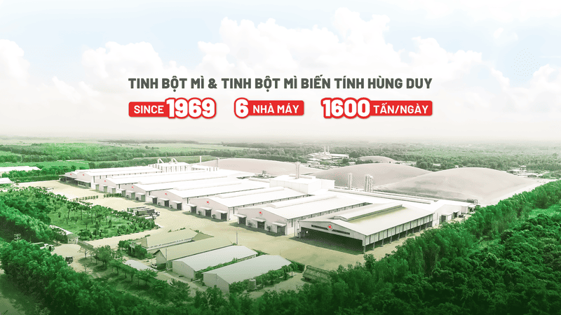 thủ tục xuất khẩu tinh bột sắn