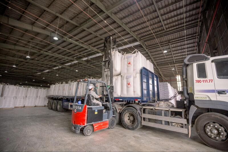 thủ tục xuất khẩu tinh bột sắn