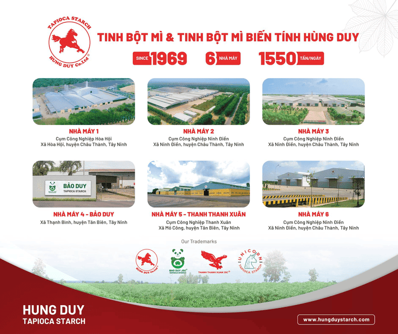 Tinh bột biến tính trong sản xuất giấy