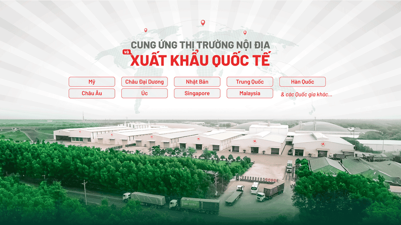 tinh bột biến tính trong tương ớt