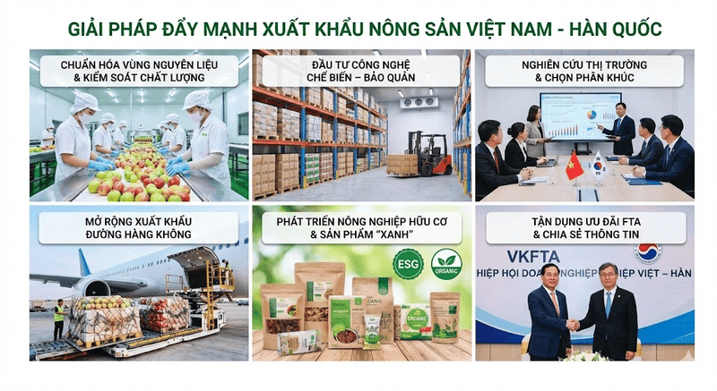 xuất khẩu nông sản sang hàn quốc
