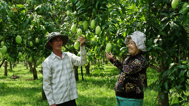 xuất khẩu nông sản sang hàn quốc