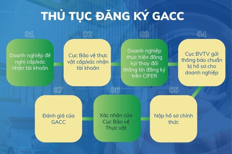  xuất khẩu tinh bột sắn sang Trung Quốc 